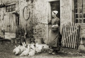 Lire la suite à propos de l’article Ernest Emile HARROY en 30 questions – 21/30 – sa mère