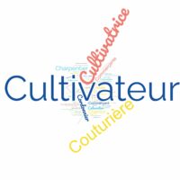 professions commençant par C